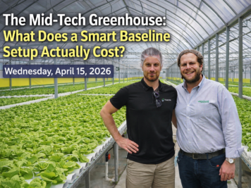 Luminosa multispan poly greenhouse interior showing growing system and climate equipment for a CEA baseline setup in North America