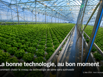 Serre commerciale double poly en production hydroponique de basilic - choisir le bon niveau technologique de serre en Amérique du Nord