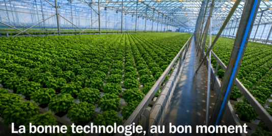 Serre commerciale double poly en production hydroponique de basilic - choisir le bon niveau technologique de serre en Amérique du Nord
