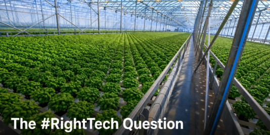 Mid-tech double poly greenhouse in hydroponic basil production — a practical example of RightTech CEA investment in North America