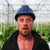Climate resilient greenhouse with tomato crops under intense heat wave sunlight