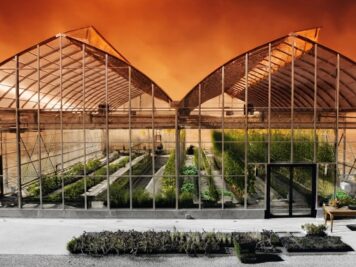 Climate resilient greenhouse with tomato crops under intense heat wave sunlight