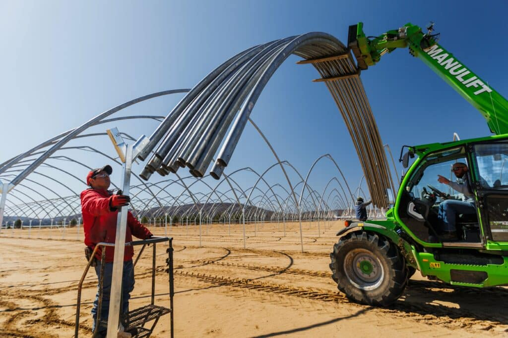 Instalación de gran túnel con estructura de acero galvanizado en campo de berries en Perú