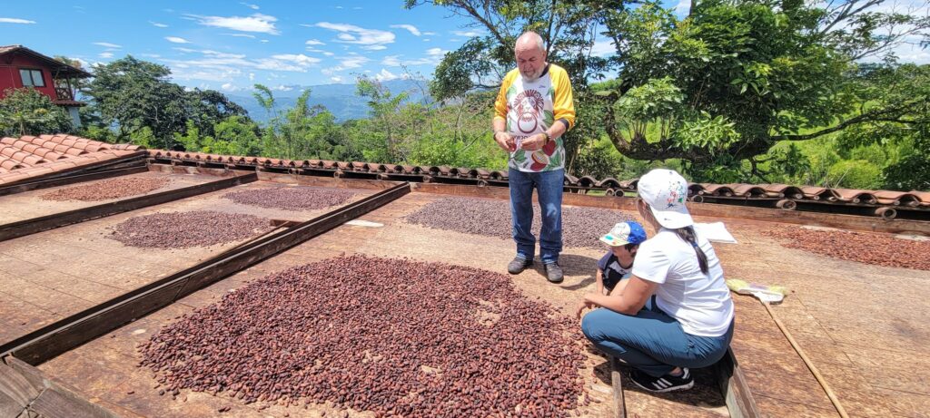 Secado tradicional al sol en el cultivo de cacao en Colombia
