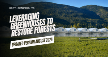 Revamping Reforestation Efforts Amid Canada's Wildfire Crisis